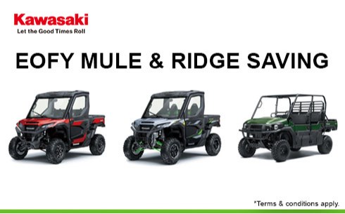 EOFY Mule